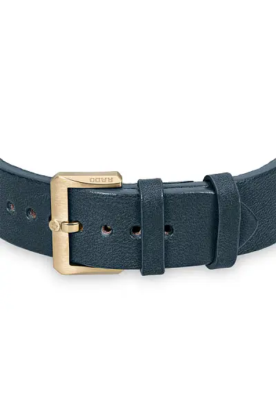 Rado Captain Cook Tự động Đồng R32504205