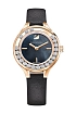 Swarovski Đá quý xinh xắn Mini 5301877