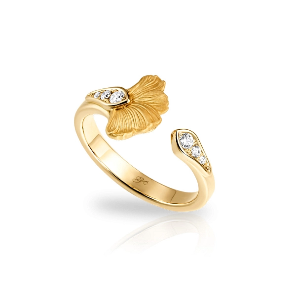 Vòng Carrera Y Carrera Ginkgo Cơ bản