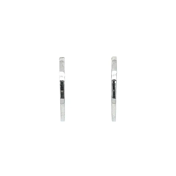 Bông tai vòng vàng phối hai màu thanh lịch