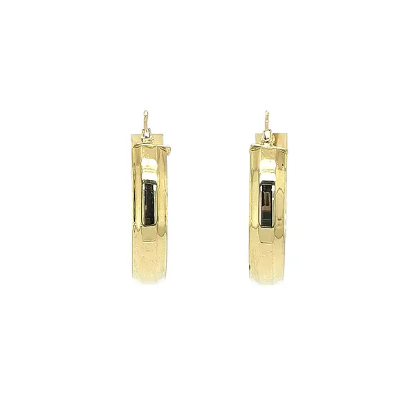 Bông tai vòng vàng thanh lịch