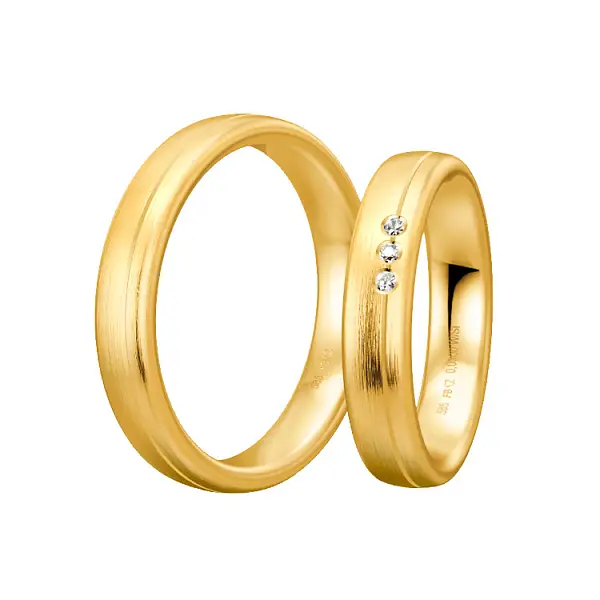 Cơ bản 48/04024 - 48/04023