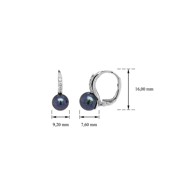 Bông tai ngọc trai đen và zircon