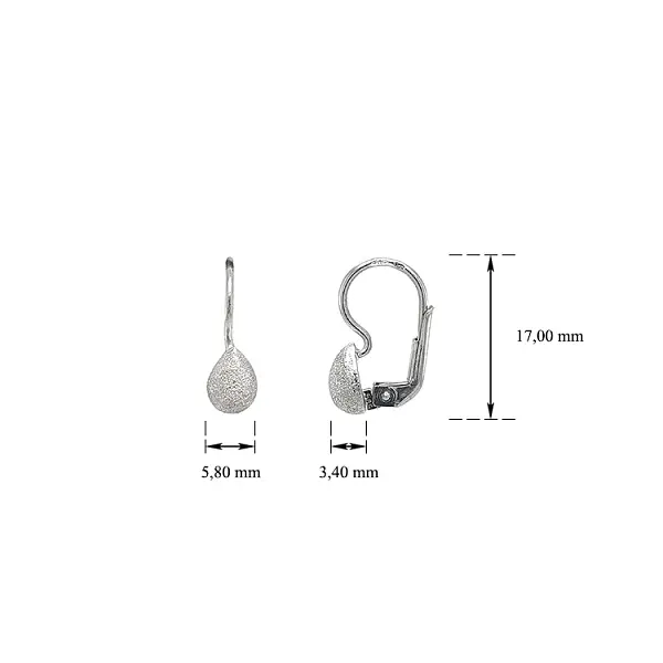 Vòng tai vàng trắng