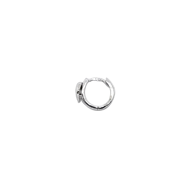 Vòng tai tròn với hình cá heo và đá zircon trắng vàng