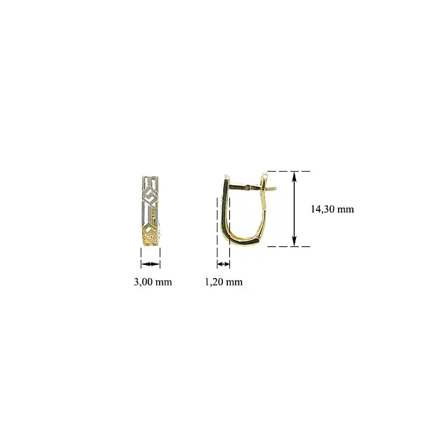 Khuyên tai làm từ vàng kết hợp