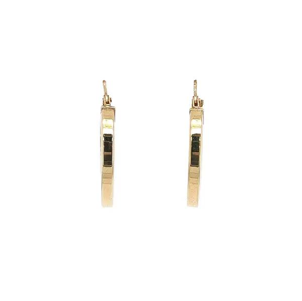 Hoa tai vòng tròn vàng thanh lịch