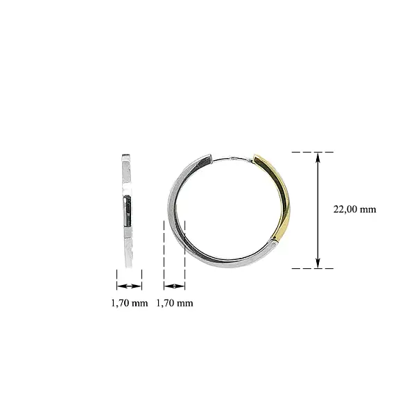 Vòng tai tròn làm từ vàng kết hợp