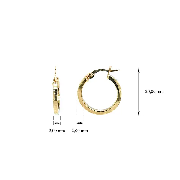 Vòng tai tròn vàng