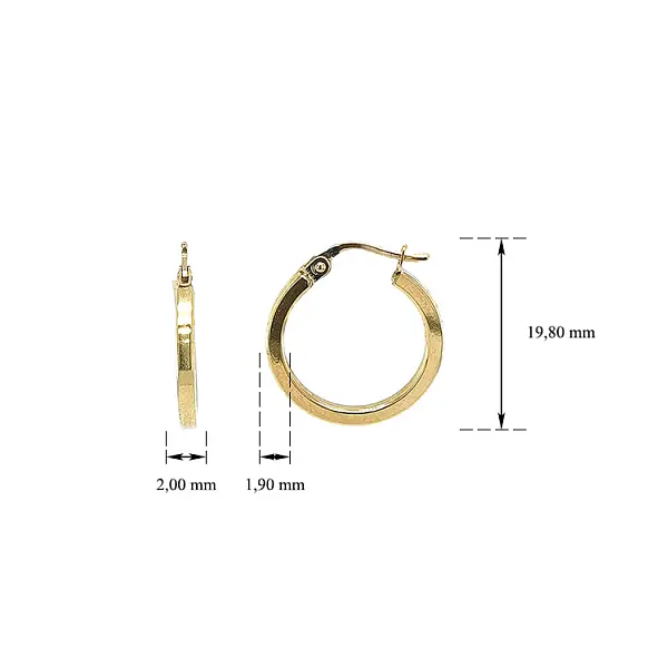 Vòng tai tròn vàng