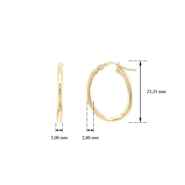 Vòng tai tròn vàng