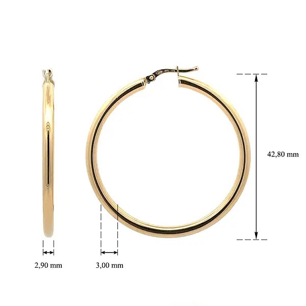 Vòng tai tròn vàng