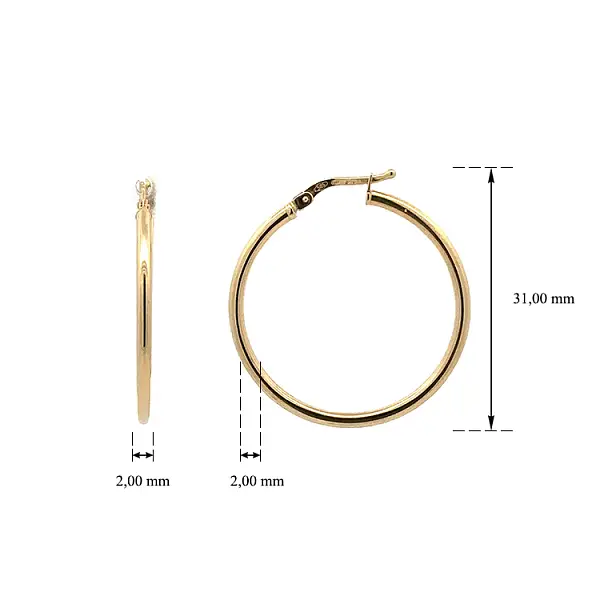 Vòng tai tròn vàng