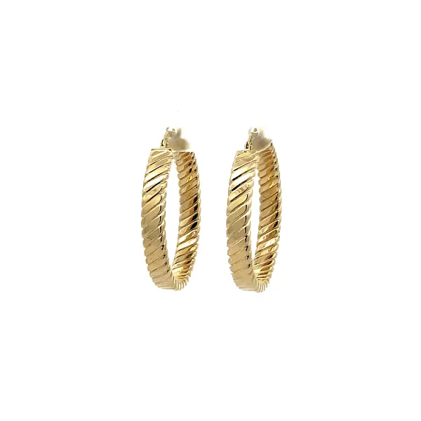 Vòng tai tròn vàng