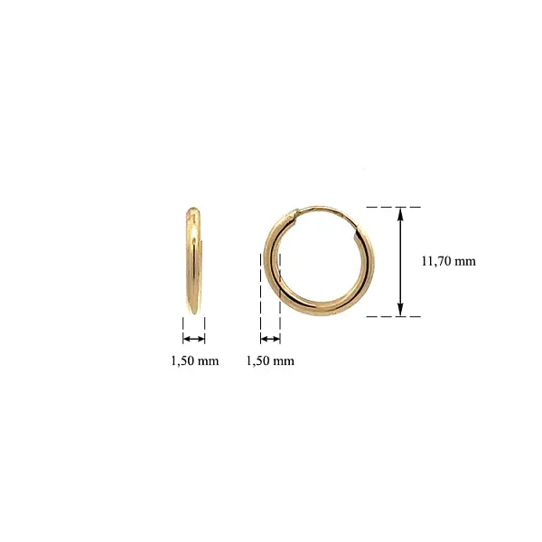 Vòng tai tròn vàng