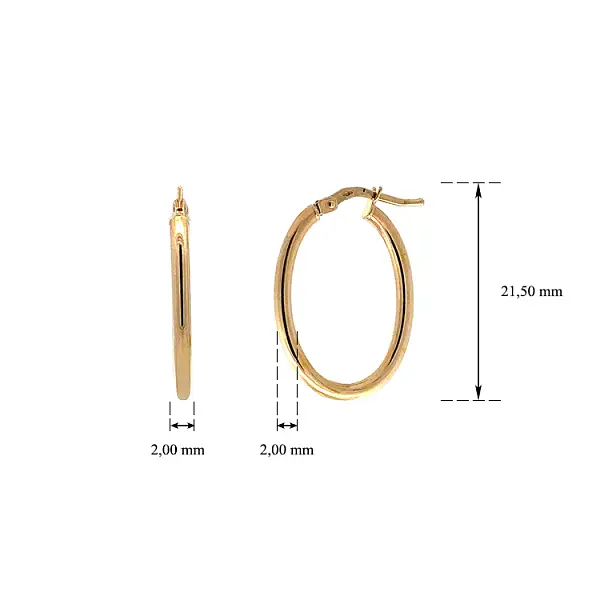 Vòng tai tròn vàng