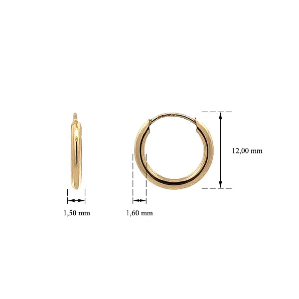 Vòng tai tròn vàng