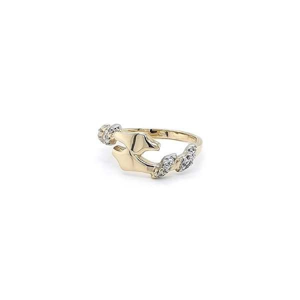 Nhẫn kết hợp vàng và zirconia