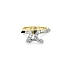 Nhẫn vàng đính đá zircon
