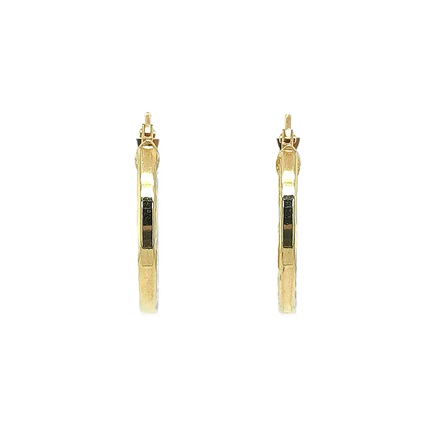 Bông tai vòng vàng thanh lịch