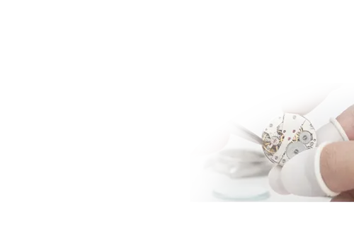 Dịch vụ chuyên nghiệp