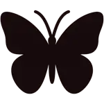 Bướm